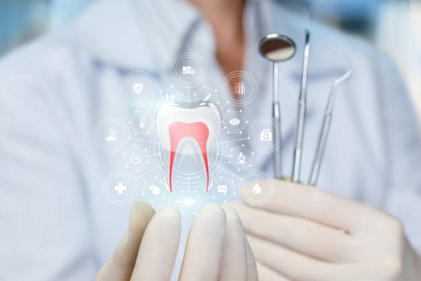 Best Full Mouth Reconstruction  in Palmer, TX