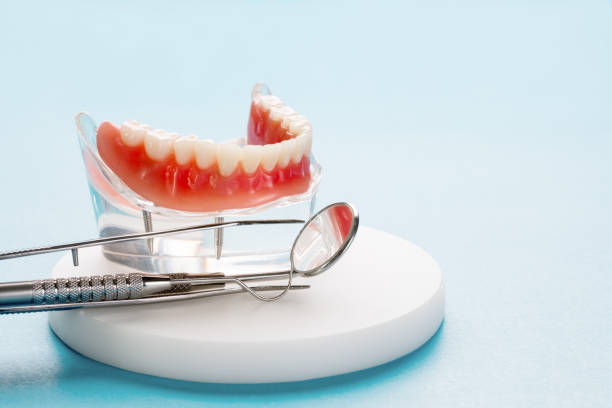 Best Periodontal (Gum) Disease Treatment  in Palmer, TX